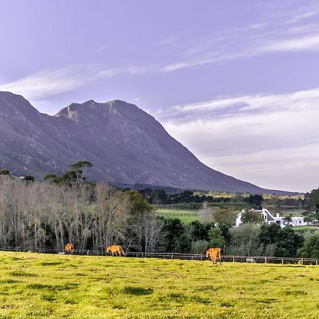 Hemel 'N Aarde Stud Hotel Hermanus Exterior photo